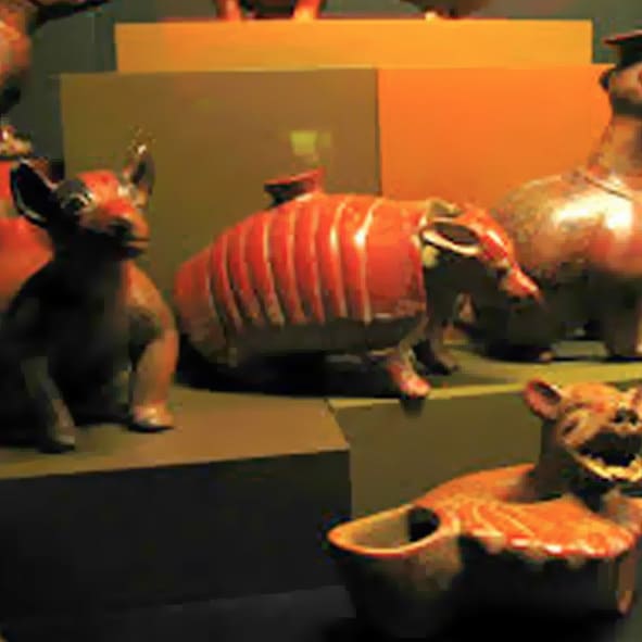 Visitar el Museo Universitario Alejandro Rangel Hidalgo – COMALÁ, PUEBLOS MÁGICOS